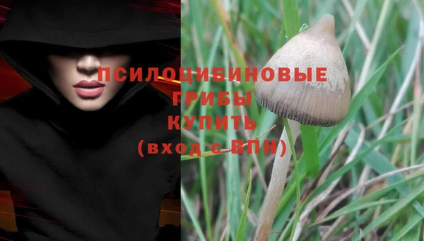 экстази Баксан