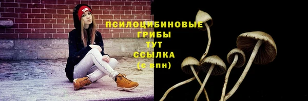 экстази Баксан