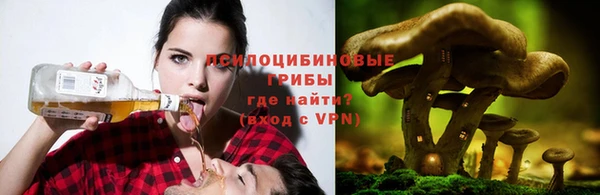гидропоника Балабаново