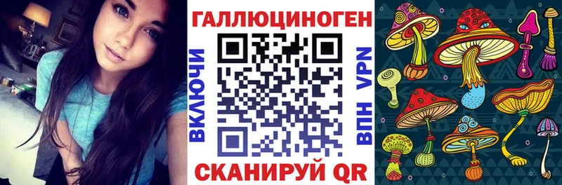 Псилоцибиновые грибы Cubensis  Суворов 